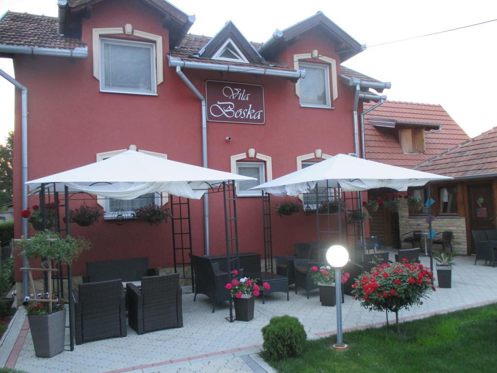 Vila Boska Palic Ngoại thất bức ảnh
