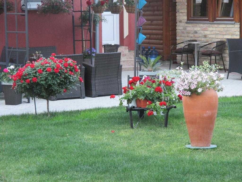 Vila Boska Palic Ngoại thất bức ảnh