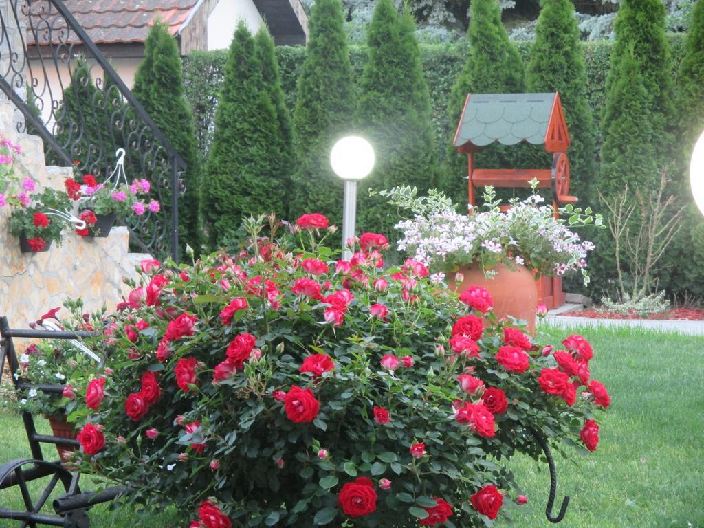 Vila Boska Palic Ngoại thất bức ảnh