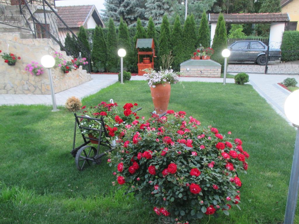 Vila Boska Palic Ngoại thất bức ảnh
